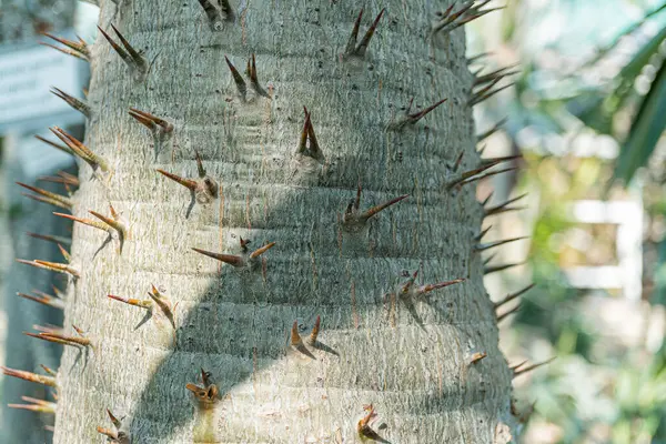 Görüntü, metalik sivri uçlu bir ağaç tasvir ediyor. Muhtemelen açık havada vahşi yaşamı korumak için.