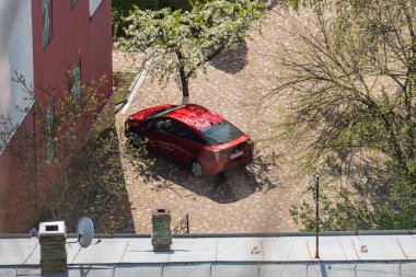 Canlı bir şehir sokak sahnesinde tarihi cazibe, modern mimari ve doğal unsurlar sergileniyor. Kırmızı tuğlalı bir yol geçmekte ve Ukrayna, Kyiv, Ukrayna 06-11-2024