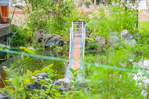 Kırmızı ve bej kiremitlere sahip sakin bir köprü, bir park ortamında yansıtıcı bir su yolunu kapsar. Çevreleyen doğa bereketli yeşillik, ağaçlar ve geleneksel Japon evi Kyiv, Ukrayna 06-11-2024 içerir.