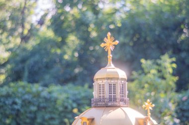 Altın sarısı ve beyaz kubbeli bir bina, üst kubbede bir haç, muhtemelen bir kilise, yeşil bir çevrede Kyiv, Ukrayna 06-11-2024
