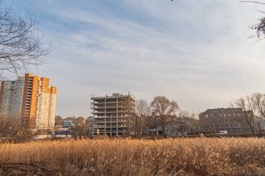 Canlı bir şehir siluetini ve modern binaları arka planda açık mavi gökyüzüne karşı gösteren kentsel-kırsal karşıtlık görüntüsü ön planda bir Kyiv, Ukrayna, 03-29-2025 kuru bitki örtüsü yer almaktadır.
