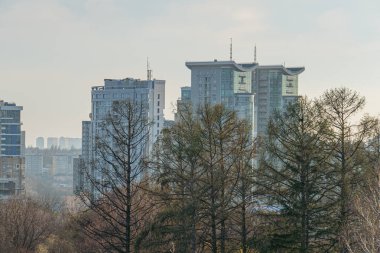 Yeşil ağaçlı şehir parkı sahnesi, modern gökdelenen binalar, ve açık gökyüzü doğa ve şehir hayatı emlak, kentsel yaşama uygun, veya çevresel su Kyiv, Ukrayna, 03-29-2025