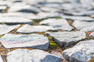 Güneş ışığıyla vurgulanmış yosun, pürüzlü kenarlar ve pürüzlü yüzeyli kaldırım taşı sokağının yakın çekimi tarih, yaş ve dayanıklılığı işaret ediyor.