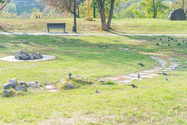 Güvercinlerin olduğu sakin bir park sahnesi, bir taş geçit, ağaçlar ve bir bank keşfi ve rahatlamayı davet ediyor.