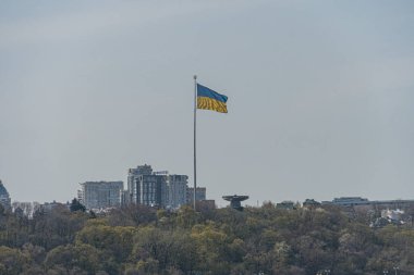 Ön planda bayrak direği, mavi ve sarı bayrak şehir manzarası, yüksek binalar çeşitli mimari tarzlar, yaprak döken bitki örtüsü, Gökyüzü berrak alçak perspektif, Tuwa 'ya bakmak