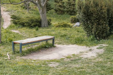 Ön plandaki ahşap park bankı sağa bakıyor, bitkilerle dolu çimenli alan, ağaçların arka bahçesine giden yol hafifçe kıvrılıyor. Ağaçların yaprakları, gün ışığı, yumuşak gölgeler, sıcak bir ton yok.