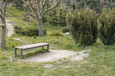 Gün ışığında kumlu bir bankta, toprak bir yolda, iki kesişen yola, kır çiçekleriyle süslenmiş yemyeşil çimenlere, çeşitli ağaçlara ve görünür bir metne sahip olmayan bir park sahnesi.