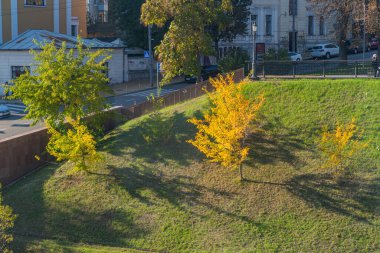Alacakaranlıkta şehir parkı, çimenli tepe, sonbahar ağaçları, taş duvar, şehir manzarası, temiz gökyüzü, yüksek perspektif, sakin atmosfer, gerçekçilik tarzı Kyiv, Ukrayna 10-20-2024