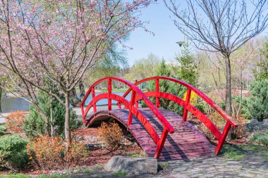 Metal parmaklıklı kırmızı ve beyaz ahşap köprü, yemyeşil ve canlı pembe çiçeklere karşı kurulmuş, kavisli çelik kemerlerle desteklenen, iyi korunmuş bir park veya bahçede. Japonca