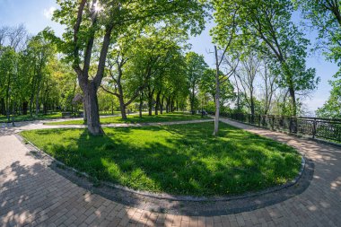 Gün ortası sakin park sahnesi, dairesel, bakımlı yeşil çimenler, yayılan tuğlalar, olgun ağaçlar yemyeşil yapraklar, çıplak dallar, muhtemel sonbahar veya kış, yumuşak ışıklandırma, boş ama huzurlu bir yer.