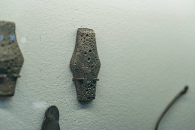 Fosilleşmiş hayvan kafatasları, alçı kaplamalar, olası kemik veya kabuk kalıntıları, gölgeler, tarafsız arka plan, açılı perspektif, doğal ışıklandırma