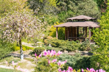 Bereketli bahçede huzurlu Japon çay evi, doğal malzemeler, pembe ve beyaz çiçekler, patika, yumuşak ışıklandırma, doğal renkler, insan yok, sabahın erken saatlerinde, hafif açılı perspektif,