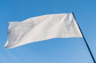 Parçalanmış beyaz bayrak bulutlu gökyüzü, muhtemelen açık hava ayarı, direk ya da direk, doğal renkler, gerçekçi tarz, yukarı doğru perspektif, dokunaklı atmosfer