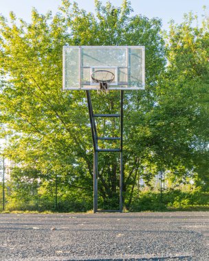 Açık hava basketbol sahası, yemyeşil yeşilliklerin ortasında boş halka, açık gökyüzü, alçak açı perspektif, doğal güneş ışığı.