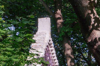 Öğleden sonra bir açık hava sahnesi, muhtemelen bir park ya da bahçe yeşil yeşillikler ve uzun, yumuşak gölgeler arasında eskimiş beton bir sütun duruyor.
