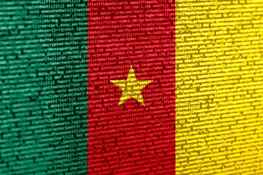 Teknoloji arka planında Kamerun bayrağı olan dijital bir kavram. Siber güvenlik, programlama ve dijital egemenlik bağlamında kamerun. Kamerun 'da site geliştirmenin sembolik görüntüsü.