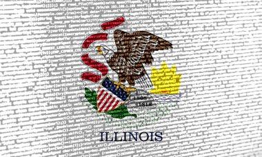 Teknoloji geçmişinde Illinois bayrağı olan dijital bir kavram. Illinois, siber güvenlik, programlama ve dijital egemenlik bağlamında. Illinois 'deki site gelişiminin sembolik görüntüsü.