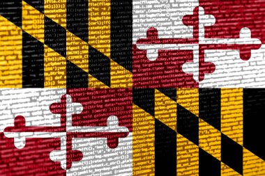 Teknoloji geçmişinde Maryland bayrağı olan dijital bir kavram. Maryland, siber güvenlik, programlama ve dijital egemenlik bağlamında. Maryland 'deki site geliştirmenin sembolik görüntüsü.