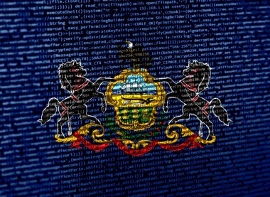 Teknoloji geçmişinde Pennsylvania bayrağı olan dijital bir kavram. Pensilvanya siber güvenlik, programlama ve dijital egemenlik bağlamında. Pennsylva 'daki site geliştirmenin sembolik görüntüsü