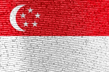 Singapur bayrağıyla donatılmış dijital bir kavram. Siber güvenlik, programlama ve dijital egemenlik bağlamında Singapur. Singapur 'da site geliştirmenin sembolik görüntüsü.