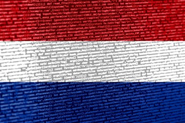 Teknoloji geçmişinde Hollanda bayrağı olan dijital bir kavram. Sanal güvenlik, programlama ve dijital egemenlik bağlamında Hollanda. Bölgenin gelişiminin sembolik görüntüsü