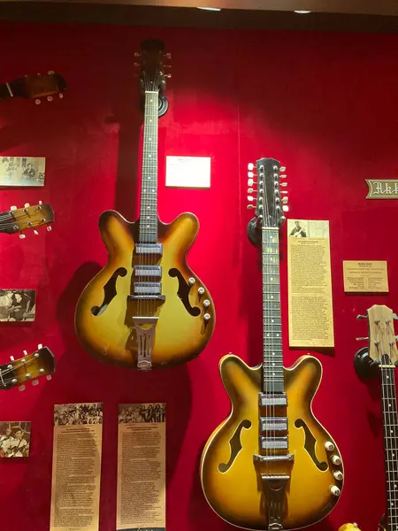 Kırmızı arkaplanda sergilenen klasik gitar koleksiyonu, her biri bilgilendirici afişler içeren iki satırda düzenlenmiştir. Parlak ve hatta ışıklandırma tarzı varyasyon Kyiv, Ukrayna 06-19-2022