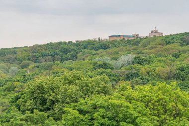 Arkasında yüksek, sessiz tonlu bir bina olan yemyeşil orman, şafak veya alacakaranlıkta yukarı doğru görüntülenir..