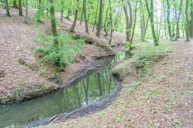 Dolambaçlı bir nehir manzarası, yeşilliği ve gökyüzünü yansıtan, verimli yaprak döken ağaçların kıyılarda yürümeyi veya yürümeyi öneren kirli bir yol aydınlatma yumuşak, muhtemelen sabahın erken saatlerinde
