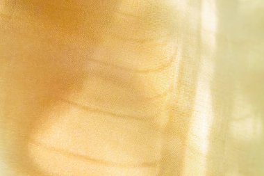 Bir yüzün yakın plan fotoğrafı, desenli balık ölçeğinde sarı, turuncu, ılık bir ton, öğleden sonra erken saatlerde aydınlatma, yüzeysel alan derinliği, sanatsal stil