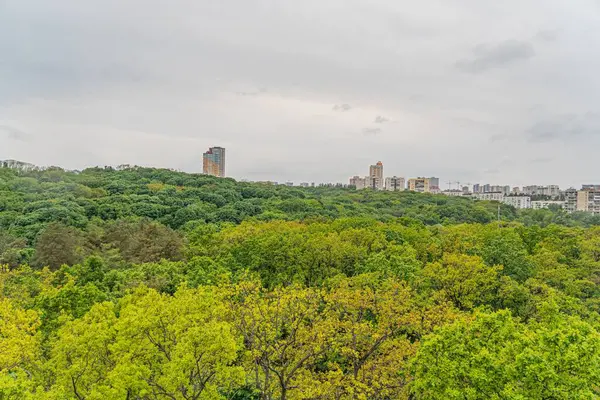 Uzakta kentsel yapıların olduğu sonbahar ormanı manzarası, farklı tonlarda yoğun yeşillikler, dalgalanan zemin, bulutlu gün, yükselen perspektif, doğaüstü fotoğrafçılık tarzı