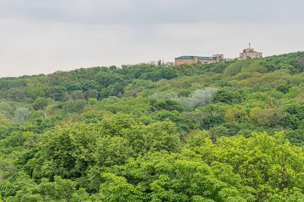 Arkasında yüksek, sessiz tonlu bir bina olan yemyeşil orman, şafak veya alacakaranlıkta yukarı doğru görüntülenir..