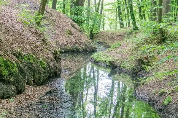Huzurlu bir akarsu, yumuşak ışıklandırma ve filtreleme yumuşak atmosfer yoluyla dolaşır. Değişen yeşilliklerden oluşan gür ağaçlar, dağılmış yapraklar, sonbaharı işaret eder.