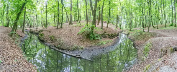Dönen bir dere, ağaçlık bir alanda yere dökülen yapraklarla ağaçları yansıtır. Derinlik, derenin uzaklarda kaybolduğu yer tarafından verilir. Sahne güneşli olur..