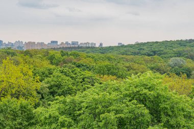Sonbahar sahnesi, bereketli ağaçlar sarı, turuncu, kırmızı, kentsel arka plan, sisli gökyüzü, şehir manzarası, birden fazla bina, yoğun yeşillik, zıt doğa ve medeniyet, yüksek görüş açısı, insan yok.