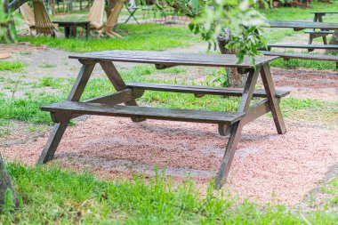 Parktaki ahşap piknik masasının manzarası yemyeşil yeşilliklerle ve yere saçılmış yapraklarla tezat oluşturan yemyeşil, çiçek açan bitkilerle çevrili.