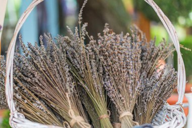 Açık havada sergilenen taze lavanta dolu dokuma sepeti..