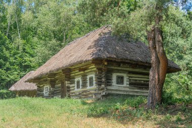 Yıpranmış ahşap bir kulübe, gür bir orman ortamında sazdan çatılı, sık yaprakların arasına kurulmuş yapının birkaç penceresi ve sağ tarafında tek bir kapısı var.
