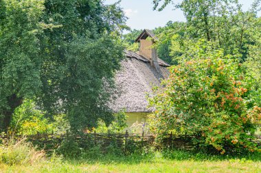 Eski Orta Avrupa köyü sahnesinde yıpranmış ahşap çitler, sazdan çatı yapısı, yemyeşil, sık yapraklar, ağaçlar, açık gökyüzü, insan ya da hayvan yok, öğleden sonra aydınlatma,