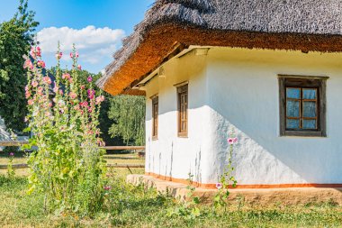 Samandan çatılı geleneksel beyaz bina, öğle vakti aydınlatma, bahçe, pembe çiçekler, ahşap çit, açık gökyüzü, dağınık bulutlar