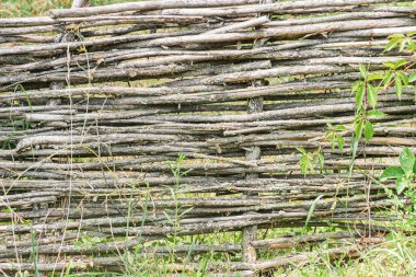 Eski bir Orta Avrupa köyünde aşınmış ahşap bir çit, yeşil yeşilliğin doğal bir zeminine kurulmuş kütük kabin tarzı çitler düzensiz ve eskimiş, kahverengi ışığın değişik tonlarında