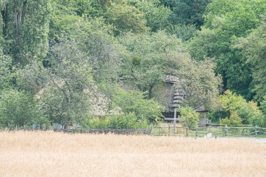 Kırsal Orta Avrupa köyü, yemyeşil ağaçların ve yemyeşil yeşilliklerin ortasındaki antika kır evi, eskimiş ahşap çit, çimenlik alan, bulutlu gökyüzü, yoğun bitki örtüsü, huzurlu ortam