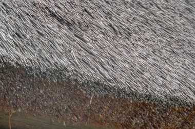 Kadim Orta Avrupa sazdan çatısı, saman iplikçikleri ve kuru ot katmanları ile dokuma yakından bakınca gündüz aydınlatması gerçekçi bir tarzı, sığ bir alan derinliğini ortaya koyuyor.