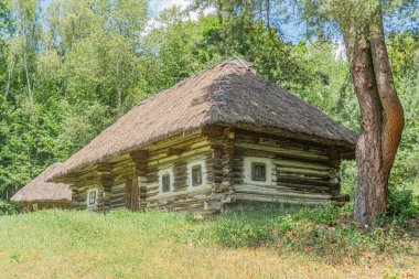 Yamaçta bulunan sazdan çatılı bir kulübe. Kabin birden fazla zıt, ahşap pencere çerçevesi ve merkezden yerleştirilmiş kır çiçekleri.
