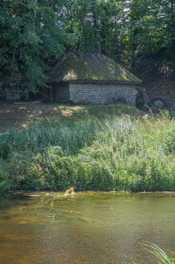 Huzurlu, eski Orta Avrupa köyü manzarası yemyeşil bir ön plan, sakin gölet veya küçük göl, sazdan çatılı eski taş kulübe, bahçe eşyaları, dağınık ışıklandırma