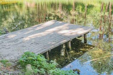 Durgun suların üzerindeki ahşap rıhtımın sakin bir görüntüsü, arka planda yemyeşil ve ağaç siluetleri olan yumuşak, dağınık ışık rahatlatıcı bir atmosfer yaratıyor.