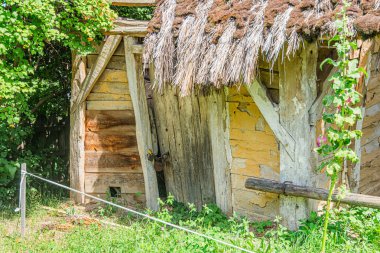 Eski bir Orta Avrupa köyünde sazdan çatısı olan yaşlı, kırsal ahşap bir bina. Çürüme belirtileri gösteriyor ve yemyeşil gölgelerle çevrili.