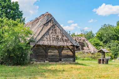 Çimenli, ağaçlık bir alanda sazdan bir çatısı olan eski bir ahşap kulübe, muhtemelen Orta Avrupa köyü manzarası, parçalı bulutlu gökyüzü, hiç insan yok, yayılmış ışıklandırma, muhtemelen bahar ya da yaz.