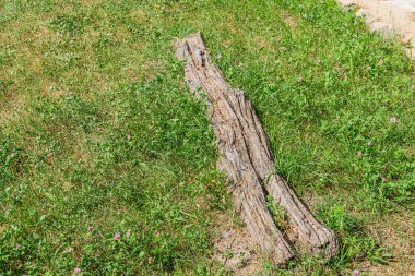 Orta Avrupa 'da bir köyün çimenli arazisinde geniş, yıpranmış bir odun yığını. Organik şekiller, yapılandırılmış arka planla tezat oluşturuyor. Doğal ışıklandırma, yumuşak gölgeler, hafif bir esinti öneriliyor.