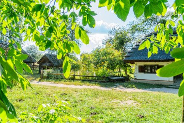 Huzurlu bir Orta Avrupa köyü sahnesinde sazdan çatılı bir bina, muhtemelen bir çardak ya da kulübe, yemyeşil ve taştan bir patikayla çevrili.