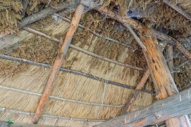 Eski bir Orta Avrupa köyünde sazdan çatılı geleneksel ahşap kulübe, doğal ahşap kirişler, organik kırsal mimari ve toprak tonlarıyla